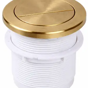 Brushed Brass Button for Pneumatic Cistern